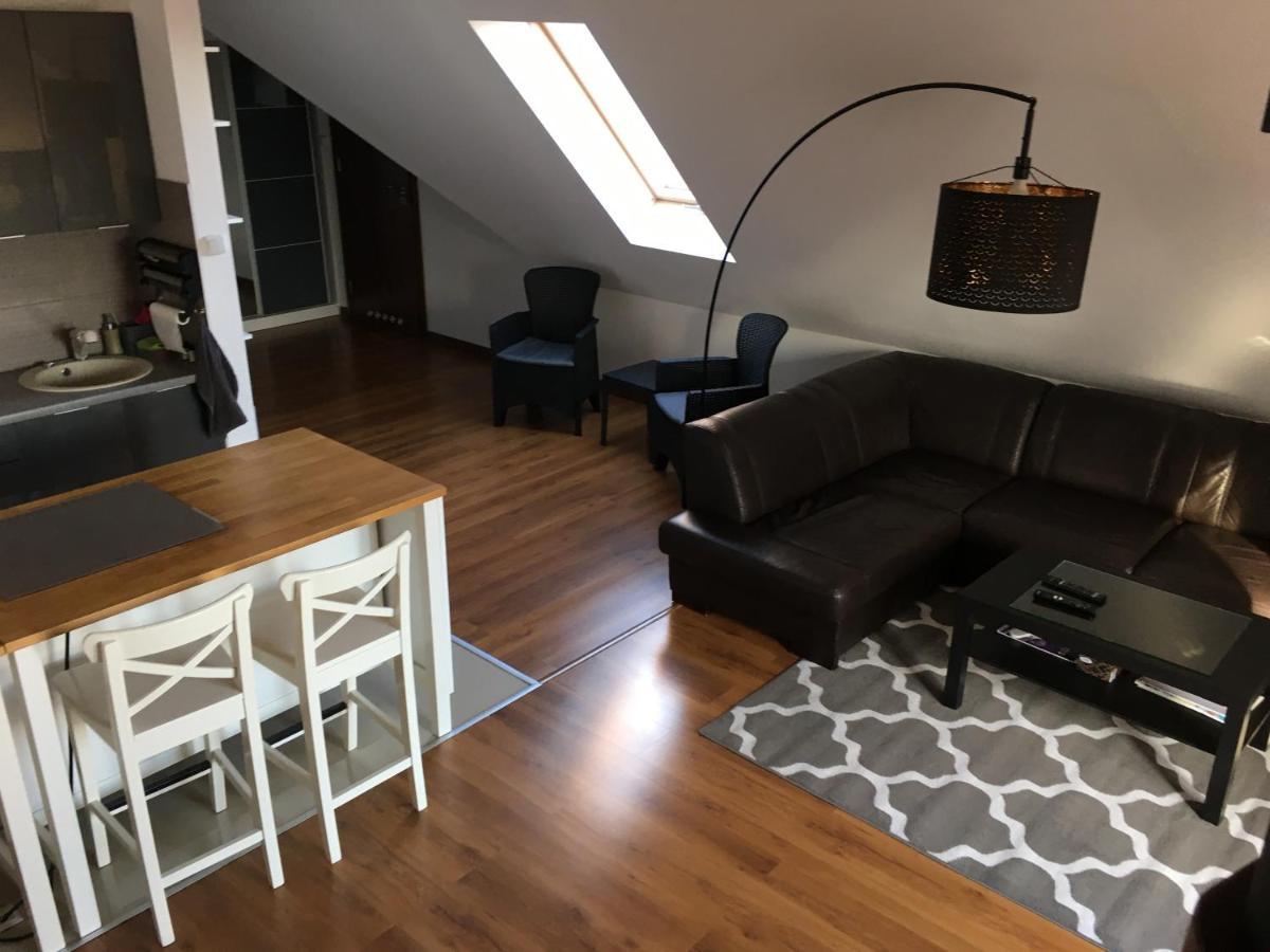 Apartament Urocza Przy Wyciagu Ski Arena 스클라르스카포렘바 외부 사진